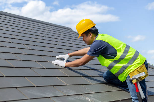 Roof Gutter Cleaning in New Bedford, PA