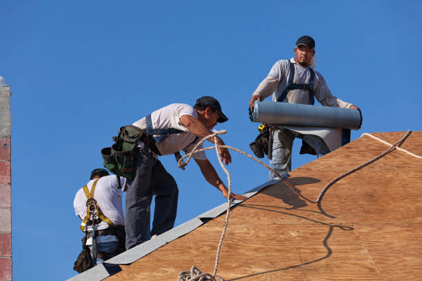 Best Metal Roofing Contractor  in New Bedford, PA