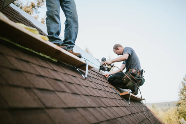 Best Local Roofing Companies  in New Bedford, PA