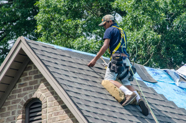 Best Roof Leak Repair  in New Bedford, PA